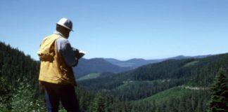 Legea pensiilor ar putea ajunge pe masa CCR