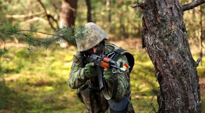 Armata angajează soldați profesioniști. Locurile vacante în Gorj