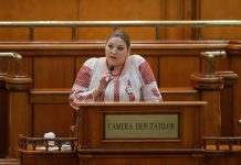 CCR discută, din nou, candidatura Dianei Șoșoacă