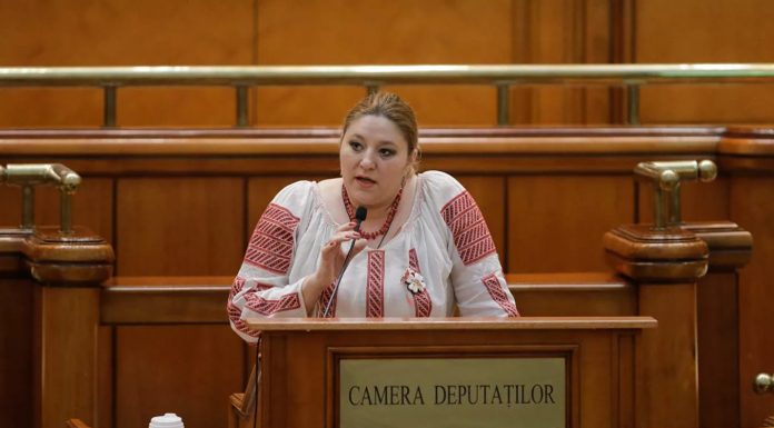 CCR discută, din nou, candidatura Dianei Șoșoacă