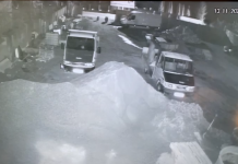 Alimpești: Două apeluri la 112 din cauza urșilor