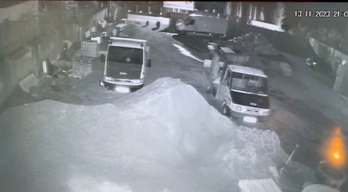 Alimpești: Două apeluri la 112 din cauza urșilor