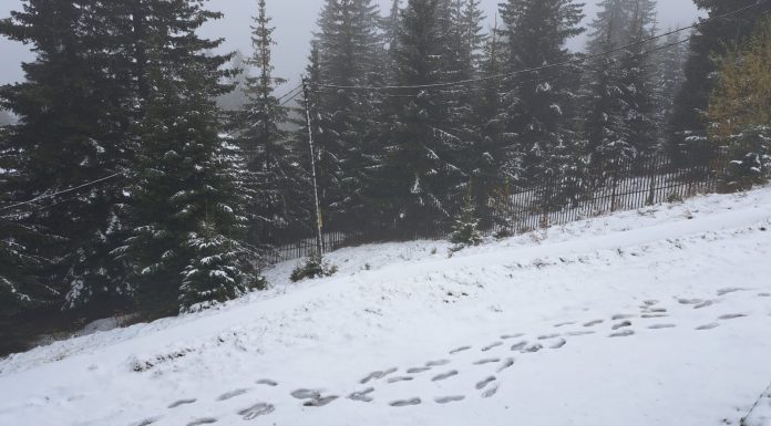 Zona de munte a județului Gorj, din nou sub cod galben de vânt și ninsori