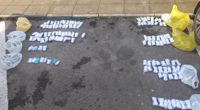 Plase de pescuit, vândute în bazarul din Rovinari