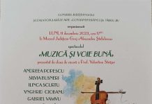 Spectacol de vioară, astăzi, la Muzeul Județean Gorj