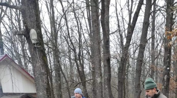 Pregătiri pentru o nouă campanie de împădurire în Gorj