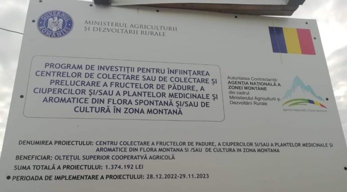 Centru de colectare a fructelor de pădure, la Polovragi