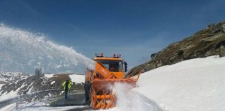 Cinci ani de pușcărie pentru o mită de 8.000 de lei