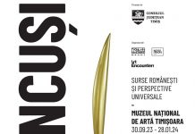 Maraton de vizionare de 24 de ore pentru operele brâncușiene expuse la Timișoara