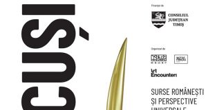 Maraton de vizionare de 24 de ore pentru operele brâncușiene expuse la Timișoara