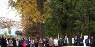 „Brâncuși – esența lucrurilor”