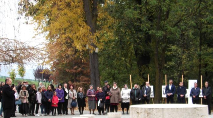 „Brâncuși – esența lucrurilor”