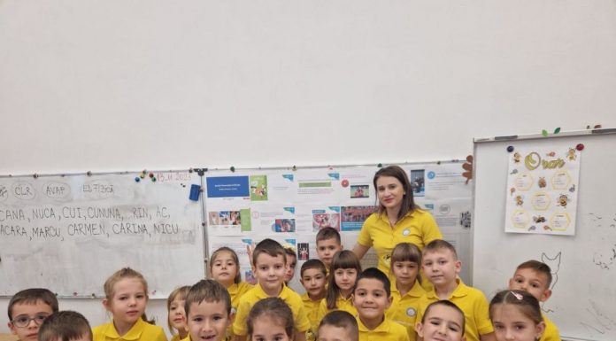 Proiect privind incluziunea în mediul școlar, derulat la CNSH Târgu Jiu