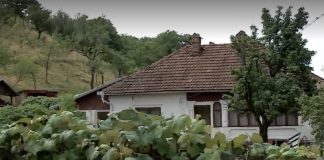 Pedeapsa primită de criminalul contabilei din Baia de Fier. Câte un an de închisoare pentru fiecare lovitură de cuţit!