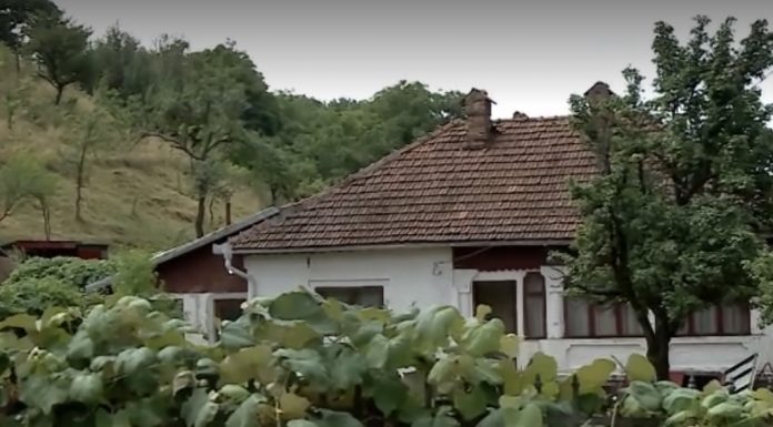 Pedeapsa primită de criminalul contabilei din Baia de Fier. Câte un an de închisoare pentru fiecare lovitură de cuţit!