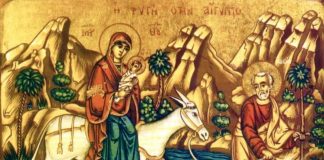 Viaţa Spirituală – Calea, Lumina, Adevărul şi Viaţa! – Dumnezeu are ştire de noi şi ne acoperă cu Atotputernicia Sa, pentru că nici nu este un refugiu mai minunat, decât acela de a ne sălăşlui pentru a trăi în umbra aripilor Sale!