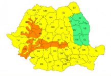 Patru avertizări de viscol și ninsori