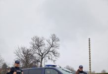 IJJ Gorj: Scandaluri în Rânca, Tismana și Runcu. Amenzi pentru 16 infracțiuni