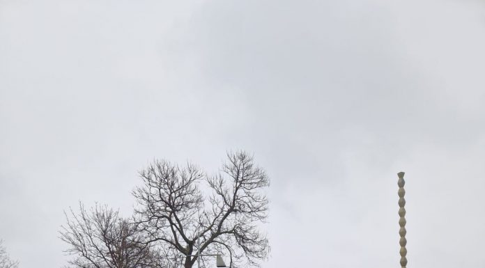 IJJ Gorj: Scandaluri în Rânca, Tismana și Runcu. Amenzi pentru 16 infracțiuni