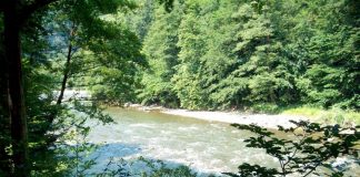 BĂTRÂNUL NOSTRU JIU, ÎN CĂTAREA VREMII