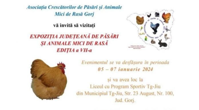 Expoziție de păsări și animale mici, weekendul viitor, la Târgu Jiu