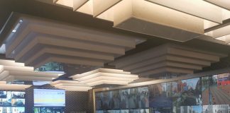 Polițiștii locali, discuții la Timișoara despre probleme de mediu şi disciplină în construcţii