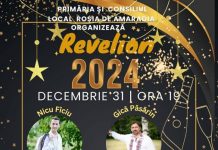 Revelion la Roșia de Amaradia. Foc de tabără, tochitură și berbec la proțap