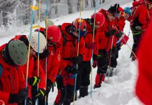 Prostia guvernului! ”Lucrurile care merg bine trebuie distruse…”
