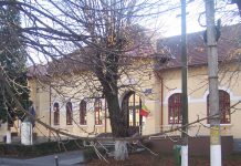 „Împreună prindem curaj”. Bani pentru prevenirea violenței în școli