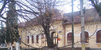 „Împreună prindem curaj”. Bani pentru prevenirea violenței în școli