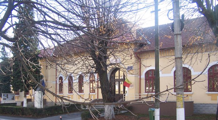 „Împreună prindem curaj”. Bani pentru prevenirea violenței în școli