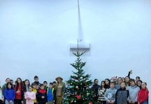 Brad de poveste, la Stăneşti