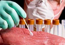 Testare gratuită a cărnii de porc într-o comună din Gorj