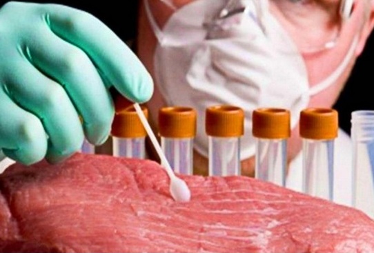 Testare gratuită a cărnii de porc într-o comună din Gorj