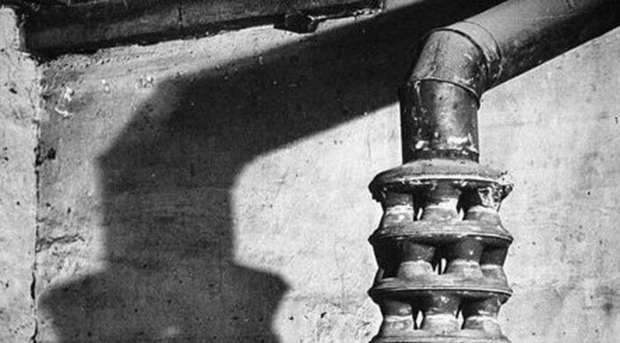 Lumea gorjenească – (i)Efectul Picasso și la… Târgu Jiu