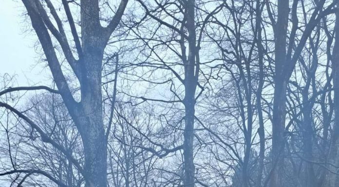 Spectacole folclorice și expoziții în Gorj, de Ziua Unirii Principatelor Române