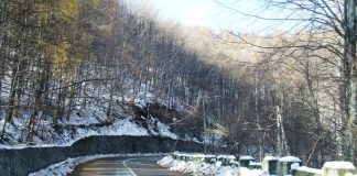 REPERE – În Lumea lui Iovan Iorgovan