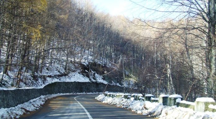 REPERE – În Lumea lui Iovan Iorgovan