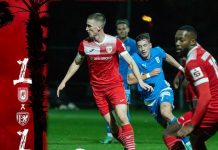 Ştiința, egal cu amatorii germani