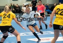 Au doar de învățat. Gorjencele, firave în Norvegia