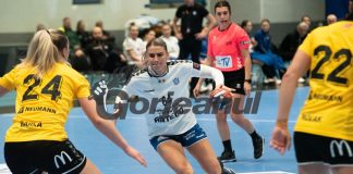 Au doar de învățat. Gorjencele, firave în Norvegia