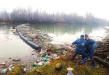 PET-uri și lemne scoase din Jiu