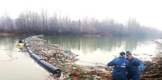 PET-uri și lemne scoase din Jiu