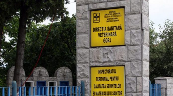 Trei medici veterinari, sancționați de șefi. Amenzi și la unitățile de alimentație