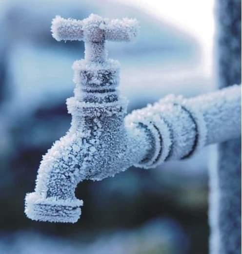 FB_IMG_1704890143254