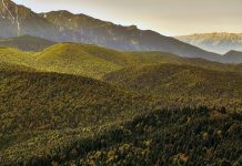 Ministrul Mediului: 11 situri au devenit arii speciale de conservare