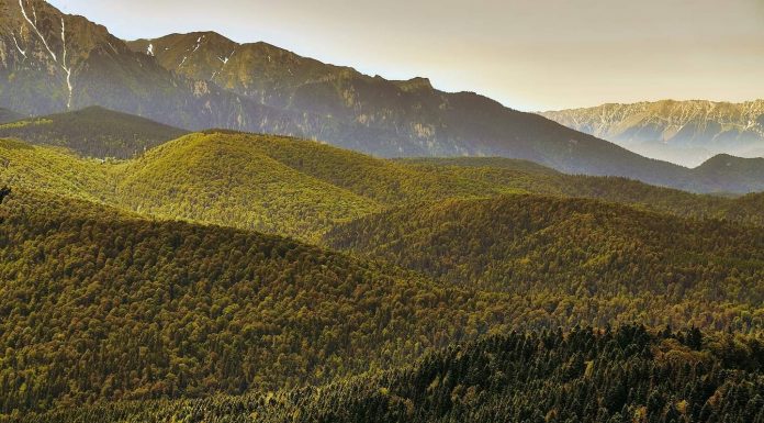 Ministrul Mediului: 11 situri au devenit arii speciale de conservare