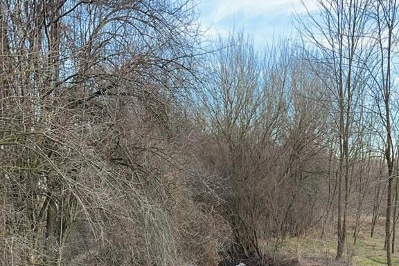 Accident la Căpreni. O femeie a murit și alte două persoane au fost rănite