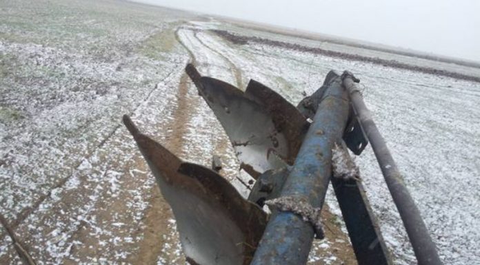 Agricultura pe înțelesul tuturor – Calendarul lucrărilor agricole în luna ianuarie