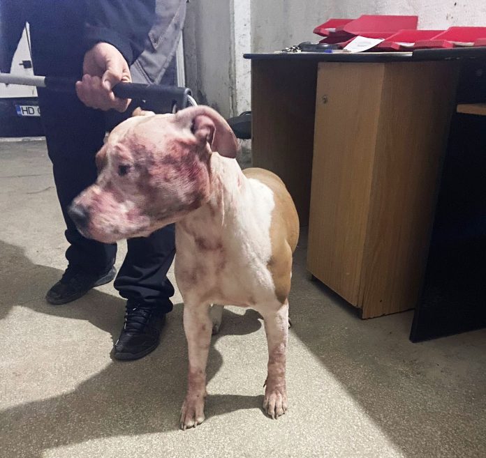 WhatsApp Image 2024-01-18 at 16.05.20